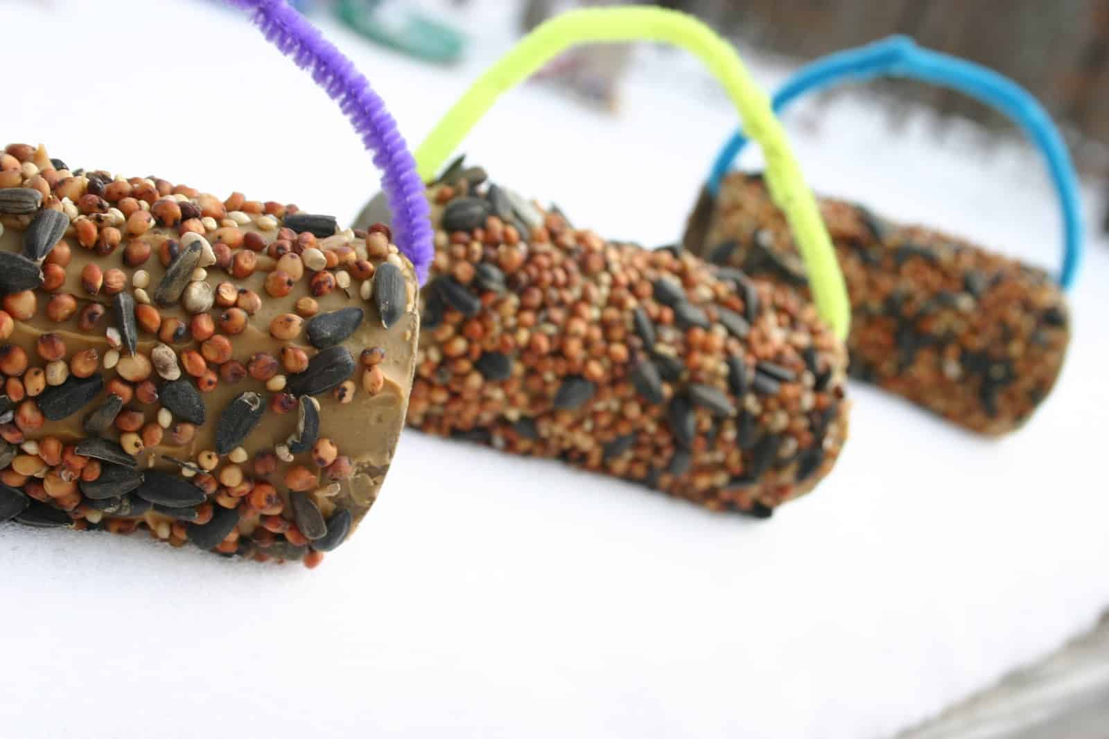 paper tube bird feeder