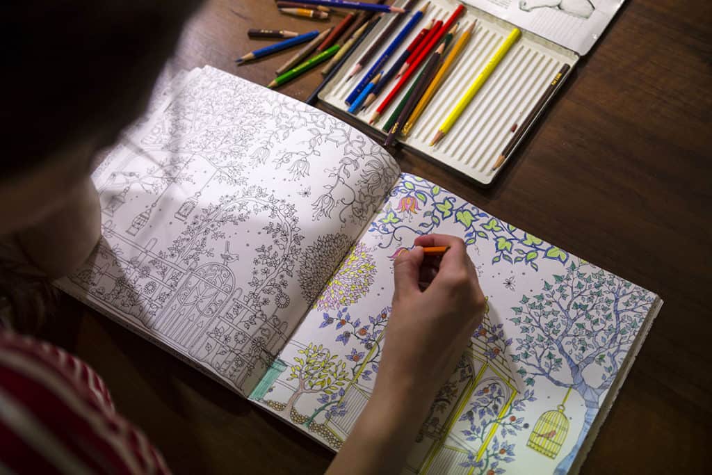 adult coloring book