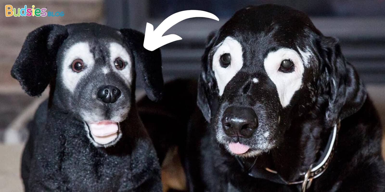 why personalized gifts best