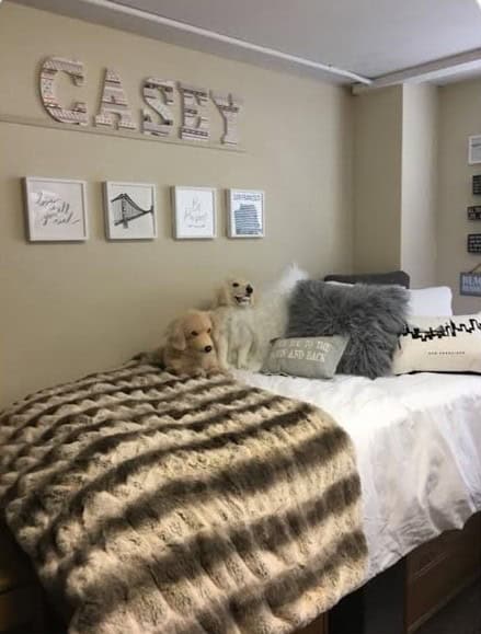 decorating your dorm room with fur and petsies
