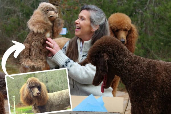 best gifts for working moms petsies